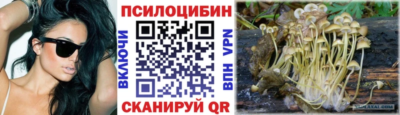 цена наркотик Ставрополь кракен Псилоцибиновые грибы MAGIC MUSHROOMS