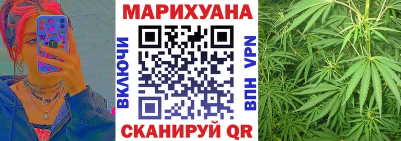 Бошки марихуана марихуана  Ставрополь 